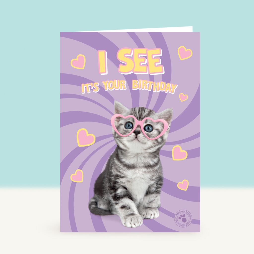 studio-pets-kitten-I-see-it-is-your-birthday-front-funky-card