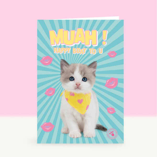 studio-pets-kitten-muah-happy-birthday-front-funky-card