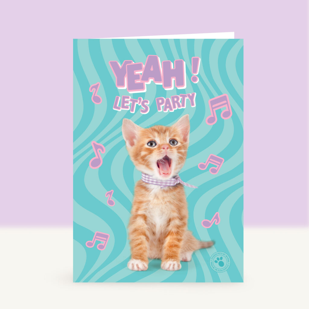 studio-pets-kitten-yeah-lets-party-front-funky-card studio-pets-kitten-yeah-lets-party-front-funky-card