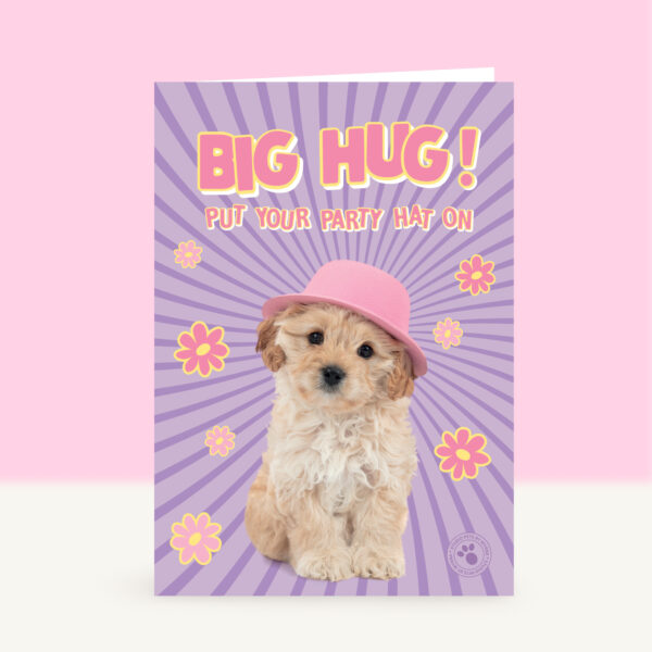 studio-pets-puppy-big-hug-cavapoo-front-funky-card