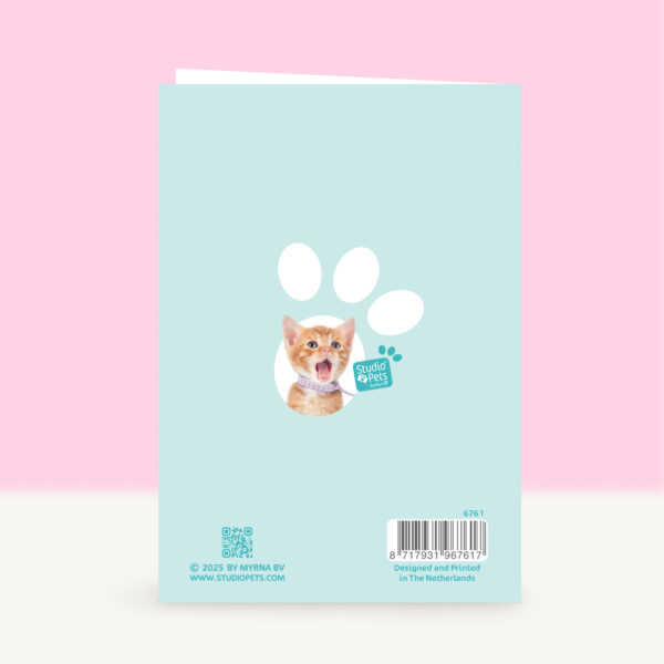studio-pets-yeah-lets-party-back-funky-card studio-pets-yeah-lets-party-back-funky-card