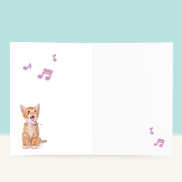 studio-pets-yeah-lets-party-inside-funky-card studio-pets-yeah-lets-party-inside-funky-card
